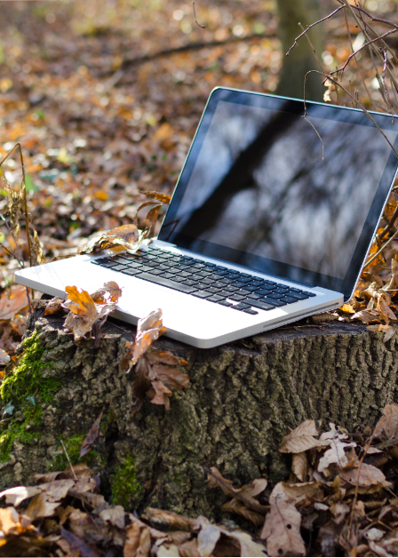 Ilustración de un paisaje natural que representa el medio ambiente